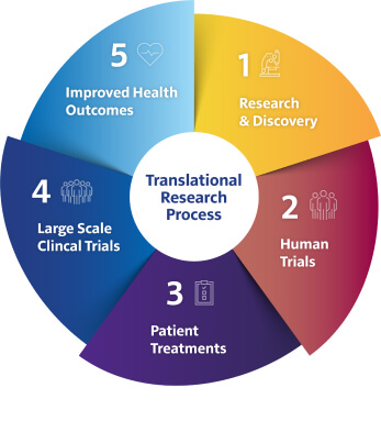 Translational Research Process mobile