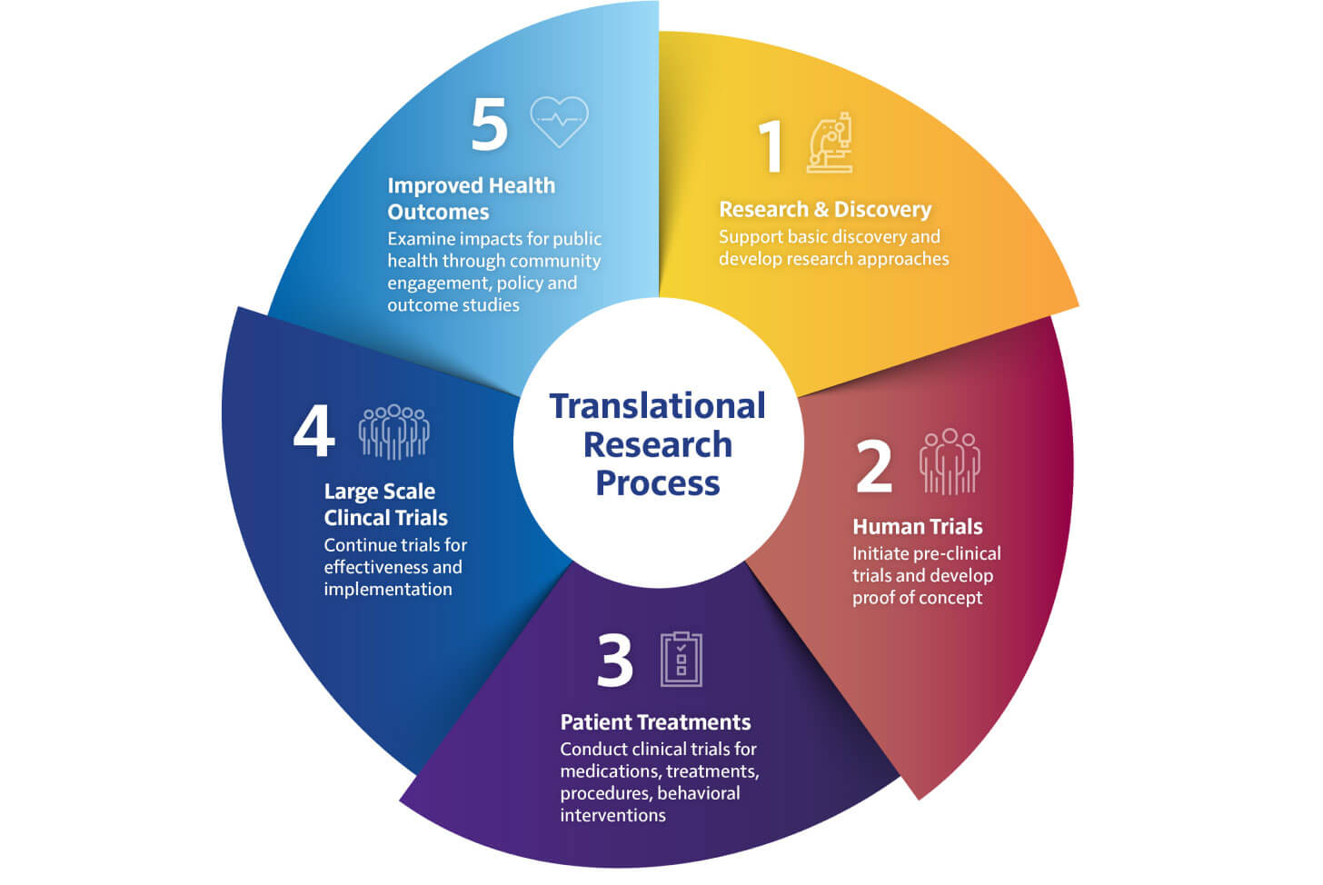 Translational Research Process